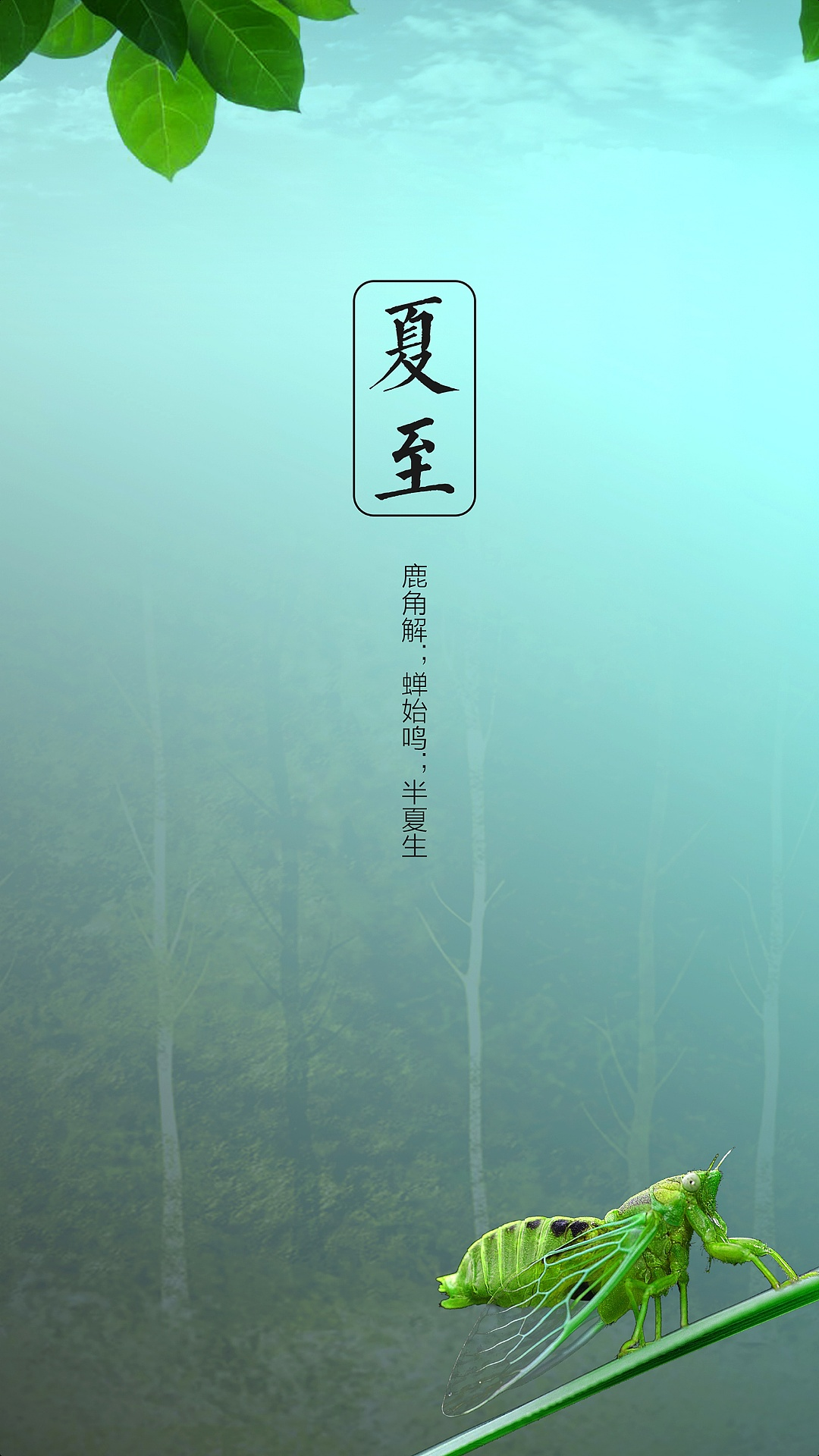 夏日炎炎，卡多陪伴，《卡多派對》6月23日IPTV即將上線